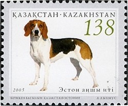 Colnect-2758-542-Estonian-Beagle-Canis-lupus-familiaris.jpg