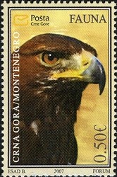 Colnect-491-461-Golden-Eagle-Aquila-chrysaetos.jpg