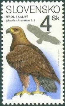 Colnect-713-877-Golden-Eagle-Aquila-chrysaetos.jpg