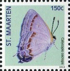 Colnect-2628-542-Red-banded-Hairstreak-Calycopis-cecrops.jpg