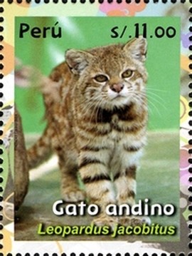 Colnect-2790-062-Andean-Mountain-Cat-Leopardus-jacobitus.jpg