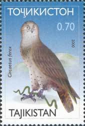 Colnect-1103-087-Short-toed-Snake-Eagle%C2%A0Circaetus-gallicus.jpg