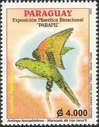 Colnect-1707-870-White-eyed-Parakeet-Aratinga-leucophthalmus.jpg