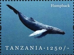 Colnect-1696-287-Humpback-Whale-Megaptera-novaeangliae.jpg