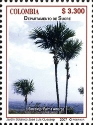 Colnect-1700-799-Bitter-Palm-Sabal-mauritiiformis.jpg