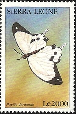 Colnect-2560-493-African-Swallowtail-Papilio-dardanus.jpg