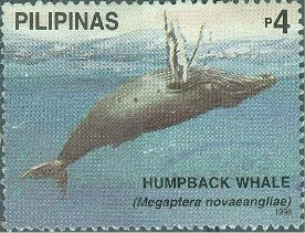 Colnect-2906-831-Humpback-Whale-Megaptera-novaeangliae.jpg