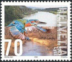 Colnect-527-448-Common-Kingfisher-Alcedo-atthis--amp--Au-landscape.jpg