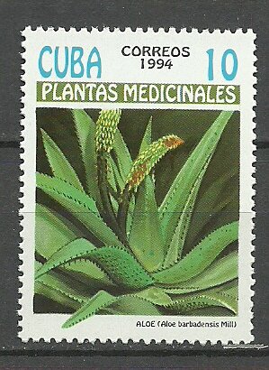 Colnect-5859-225-Aloe-barbadensis.jpg