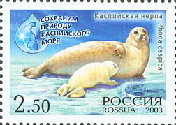 Colnect-1243-407-Caspian-Seal-Pusa-caspica.jpg