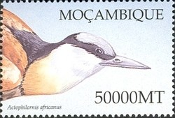 Colnect-1486-325-African-Jacana-Actophilornis-africanus.jpg