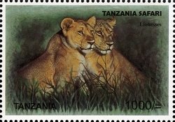 Colnect-1691-301-Lion-Panthera-leo---Females.jpg