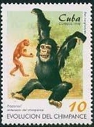 Colnect-2245-837-Chimpanzee-Pan-troglodytes-and-Proconsul.jpg