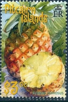 Colnect-3979-795-Pineapple-Ananas-comosus.jpg