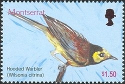 Colnect-1530-035-Hooded-Warbler-Wilsonia-citrina.jpg