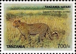 Colnect-1691-305-Leopard-Panthera-pardus.jpg