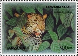 Colnect-1691-307-Leopard-Panthera-pardus.jpg