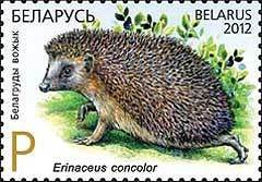 Colnect-1259-492-Southern-White-breasted-Hedgehog-Erinaceus-concolor.jpg