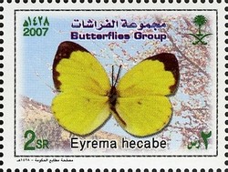 Colnect-1729-736-Large-Grass-Yellow-Eurema-hecabe.jpg