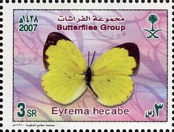 Colnect-1729-746-Large-Grass-Yellow-Eurema-hecabe.jpg