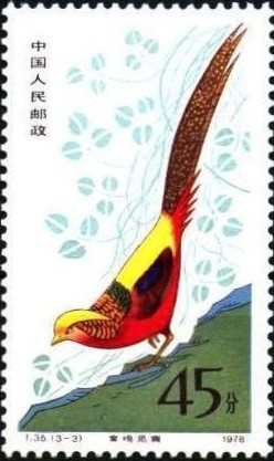 Colnect-713-350-Golden-Pheasant-Chrysolophus-pictus.jpg