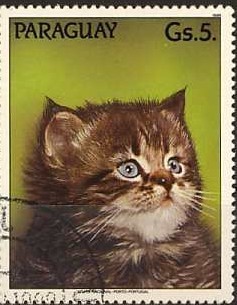Colnect-1118-566-Persian-Cat-Felis-silvestris-catus.jpg