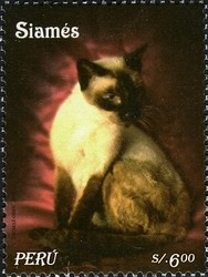 Colnect-1585-009-Siamese-Cat-Felis-silvestris-catus.jpg