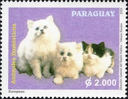 Colnect-1708-082-Domestic-Cat-Felis-silvestris-catus.jpg