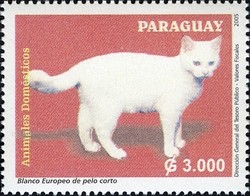 Colnect-1708-084-Domestic-Cat-Felis-silvestris-catus.jpg