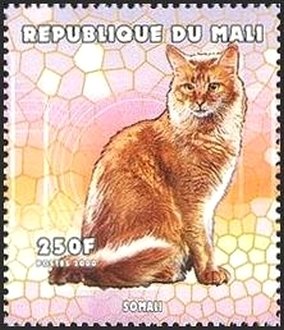 Colnect-2606-940-Somalian-Cat-Felis-silvestris-catus.jpg