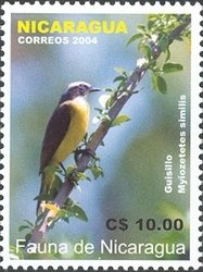 Colnect-934-646-Social-Flycatcher-Myiozetetes-similis.jpg