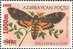 Colnect-1097-787-Death-Head-Hawk-Moth-Acherontia-atropos.jpg