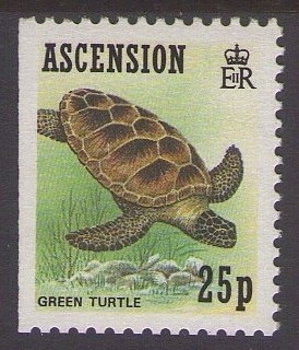 Colnect-1299-775-Green-Sea-Turtle-Chelonia-mydas.jpg