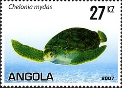 Colnect-1325-248-Green-Sea-Turtle-Chelonia-mydas.jpg