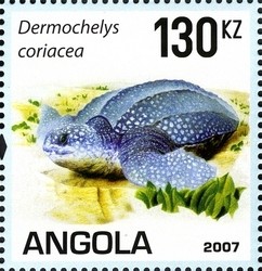 Colnect-1325-252-Leatherback-Sea-Turtle-Dermochelys-coriacea.jpg