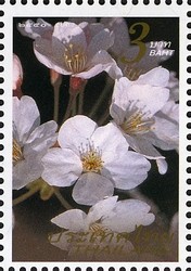 Colnect-1669-503-Flora-Flowers---General.jpg