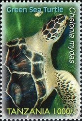 Colnect-1691-017-Green-Sea-Turtle-Chelonia-mydas.jpg