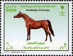 Colnect-1729-695-Arabian-Horse-%E2%80%9EDahma-Shahwania%E2%80%9C--Equus-ferus-caballus.jpg