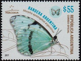 Colnect-3871-094-Bandera-Argentina-Marpha-epistraphus-argentinus.jpg
