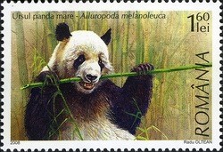 Colnect-761-992-Giant-Panda-Ailuropoda-melanoleuca.jpg
