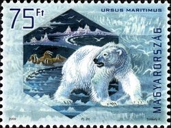Colnect-500-591-Polar-Bear-Ursus-maritimus.jpg
