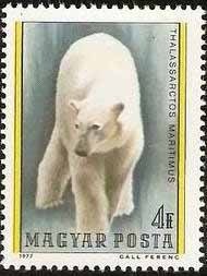 Colnect-584-886-Polar-Bear-Ursus-maritimus.jpg