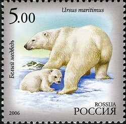 Colnect-612-156-Polar-Bear-Ursus-maritimus.jpg