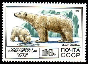 Colnect-832-758-Polar-Bear-Ursus-maritimus.jpg