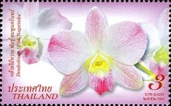 Colnect-1671-411-Dendrobium--Pink-Nagarindra-.jpg