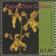 Colnect-4219-546-Dendrobium-conanthum-Schltr.jpg