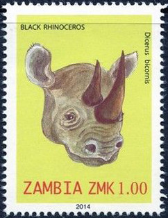 Colnect-2448-600-Black-rhinoceros.jpg