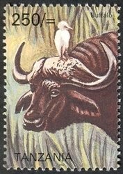 Colnect-1690-048-African-Buffalo-Syncerus-caffer.jpg