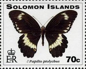 Colnect-2047-943-Swallowtail-Butterfly-Papilio-ptolychus.jpg