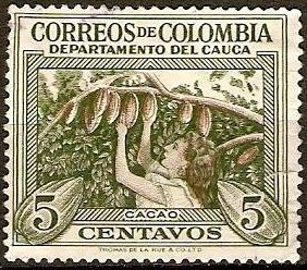 Colnect-1018-921-Cacao-harvest-Cauca.jpg